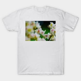 Chestnut Blooms T-Shirt